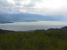 Ofotfjord